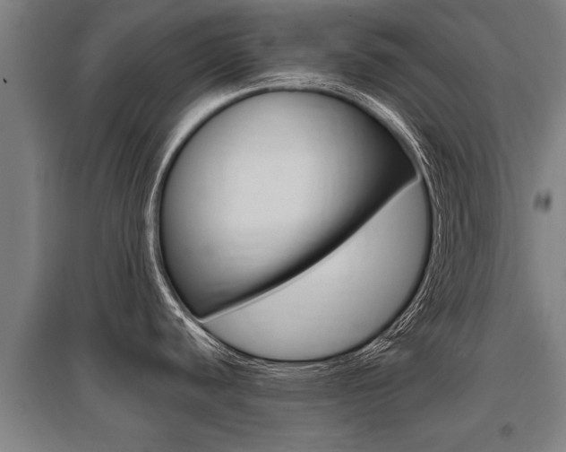 X0000096131440200801180819