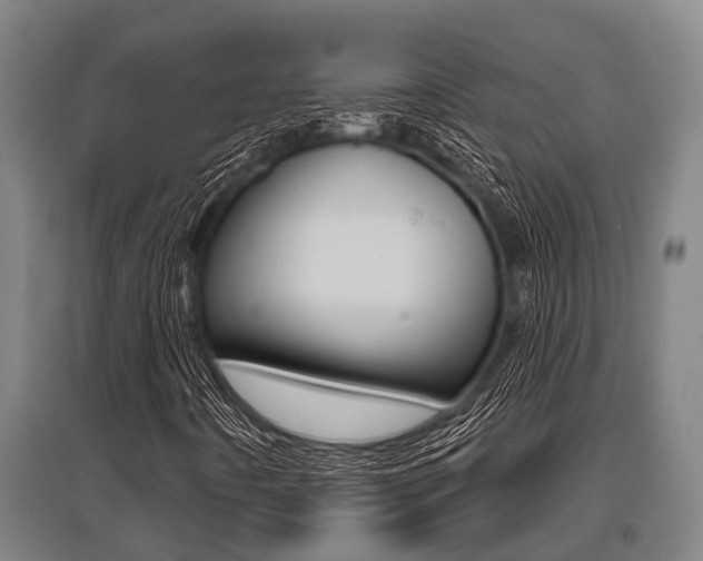 X0000096131442200801180818