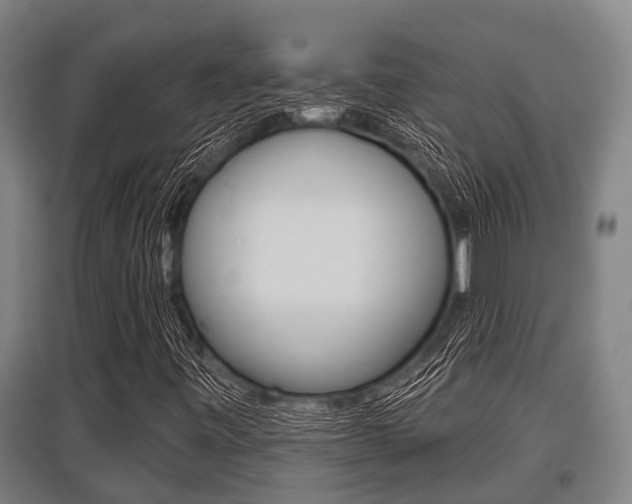 X0000096131443200801180818