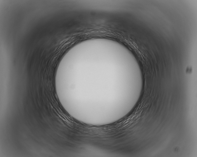 X0000096131444200801180818