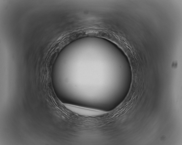 X0000096131445200801180818