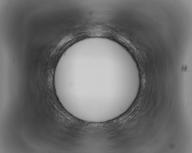 X0000096131446200801180818