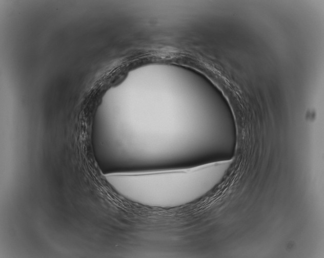 X0000096131447200801180818