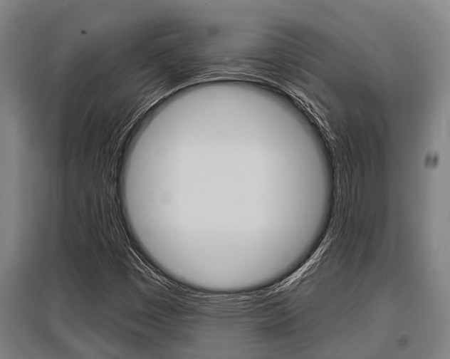X0000096131449200801180818