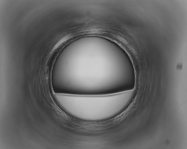 X0000096131450200801180818