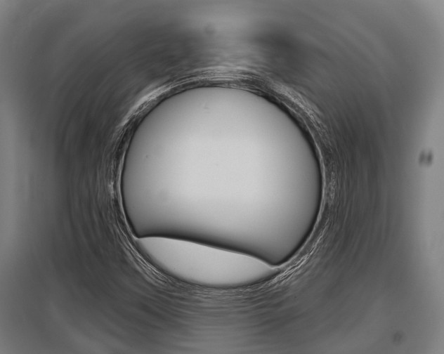 X0000096131451200801180818