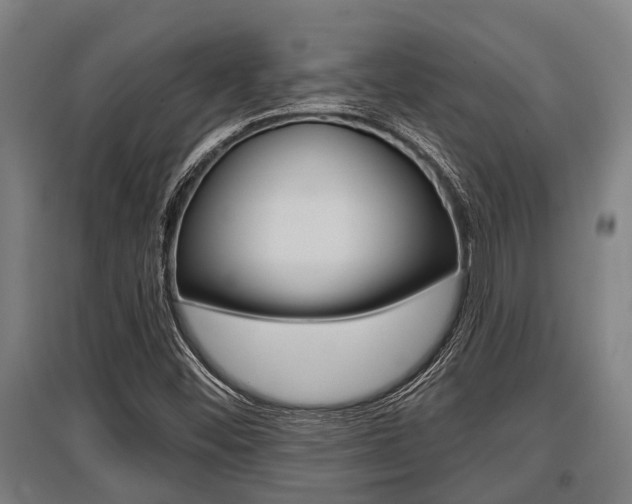 X0000096131452200801180818