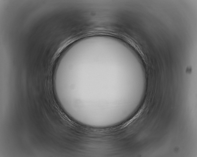 X0000096131453200801180818