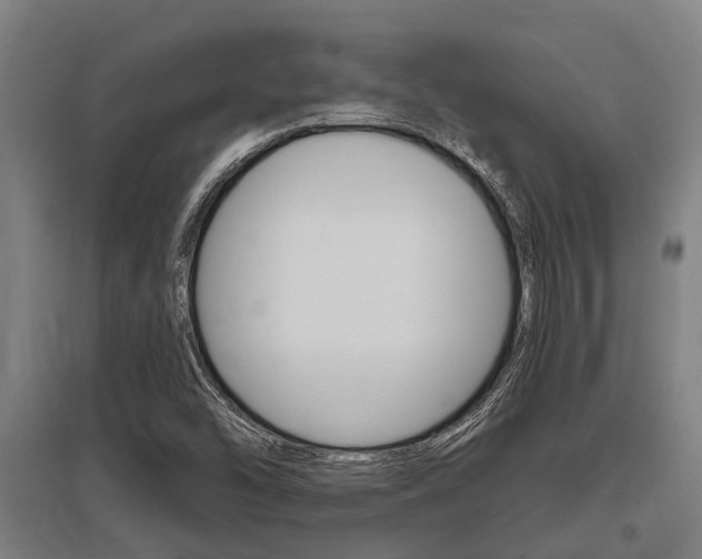 X0000096131454200801180818