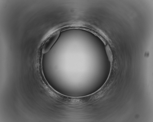 X0000096131456200801180818
