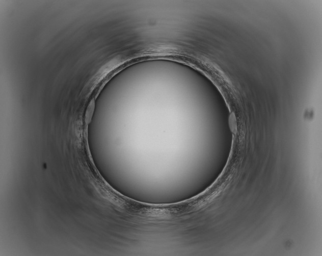 X0000096131457200801180818