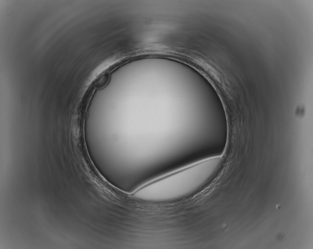 X0000096131458200801180818