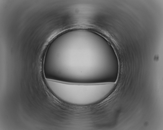X0000096131459200801180818