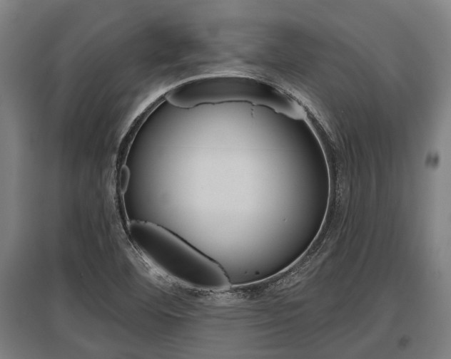 X0000096131460200801180818