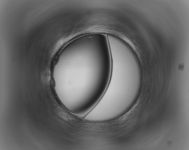 X0000096131461200801180818