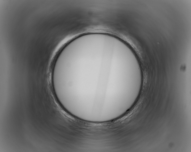 X0000096131462200801180818