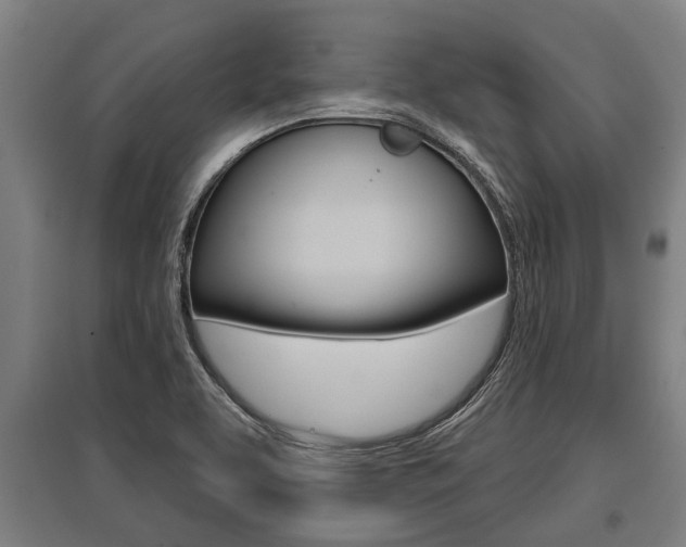 X0000096131463200801180818