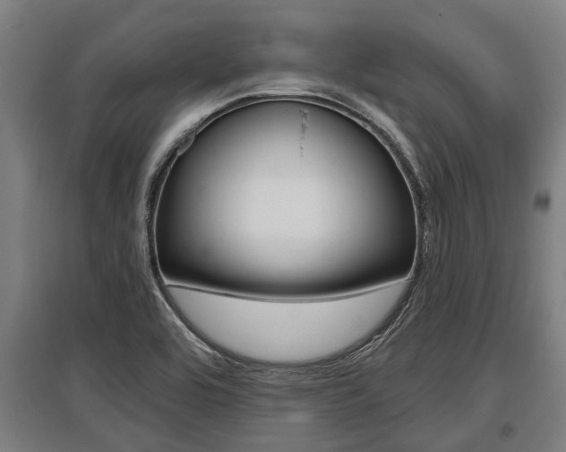 X0000096131464200801180818