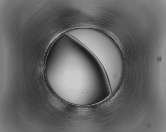 X0000096131465200801180818