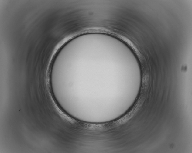X0000096131466200801180818