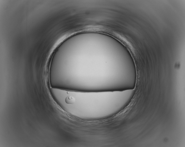 X0000096131467200801180818