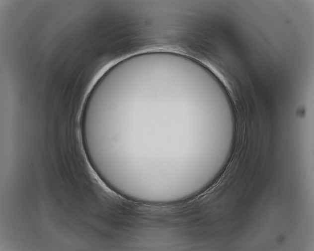 X0000096131468200801180818