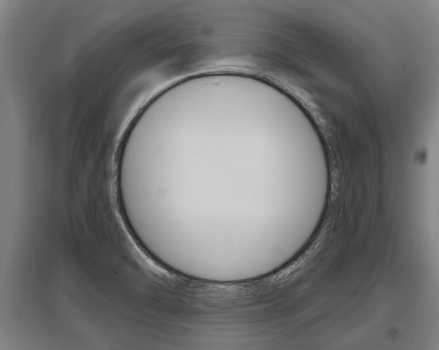 X0000096131470200801180818