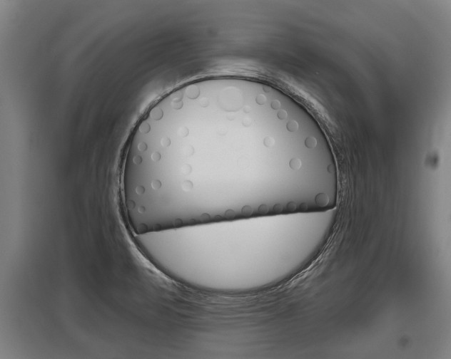 X0000096131471200801180818