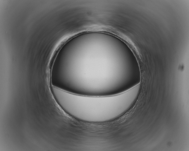 X0000096131472200801180818