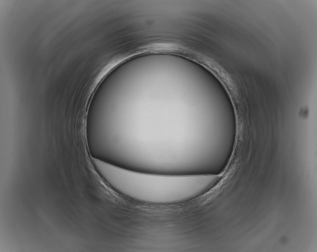 X0000096131473200801180818