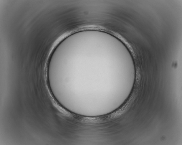 X0000096131474200801180818