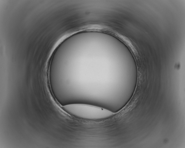X0000096131475200801180818