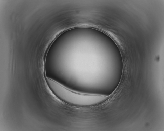X0000096131476200801180818