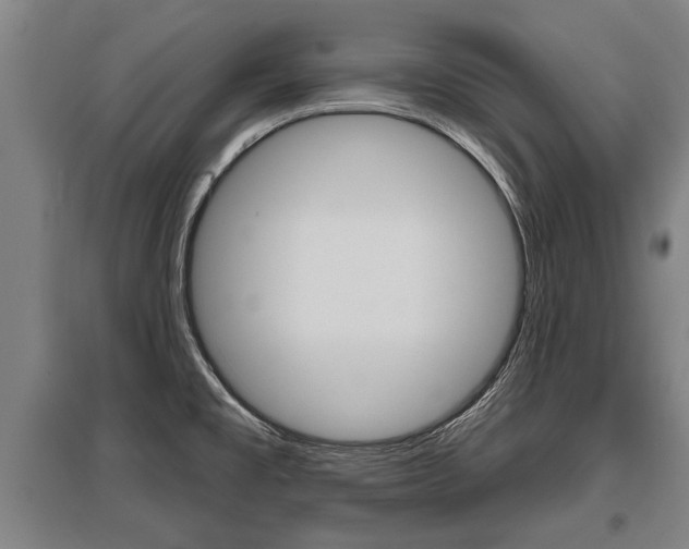 X0000096131477200801180818
