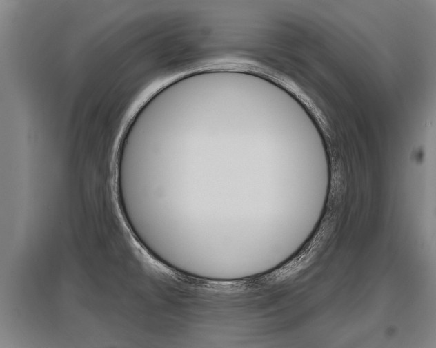 X0000096131478200801180818