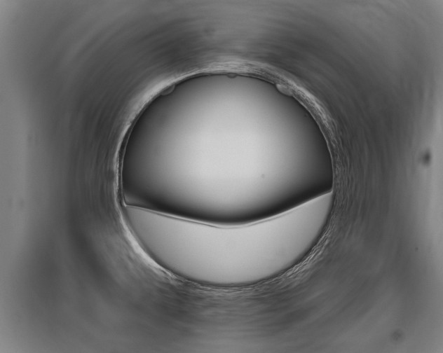 X0000096131479200801180818