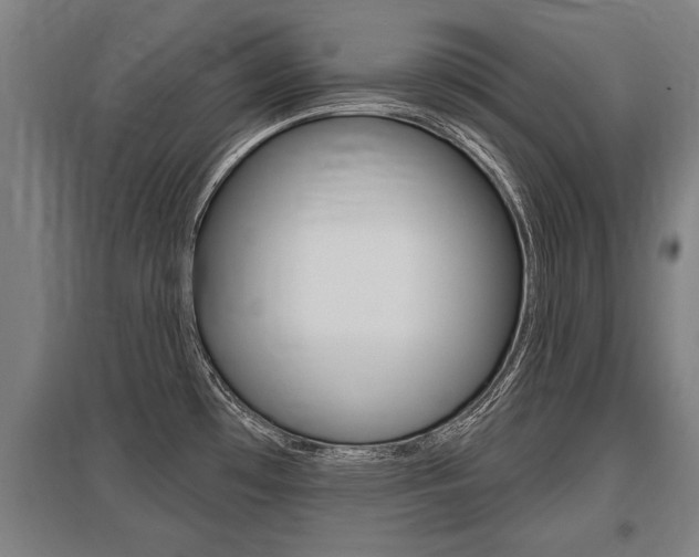 X0000096131481200801180818