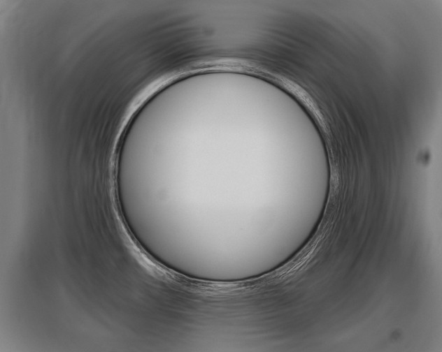 X0000096131482200801180818