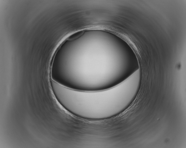 X0000096131484200801180818