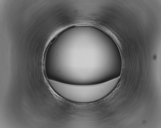 X0000096131485200801180818