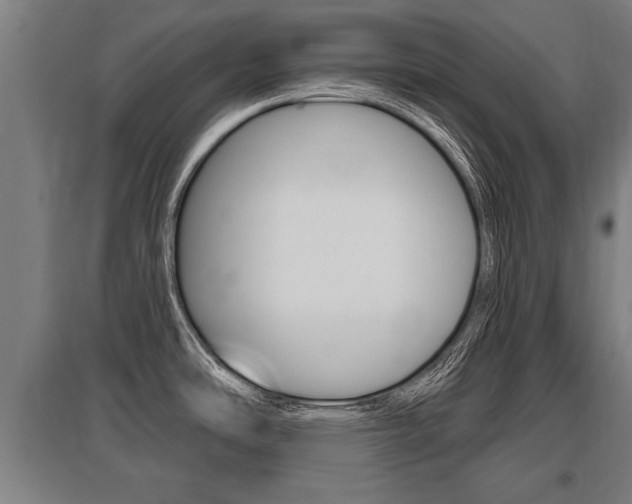 X0000096131486200801180818