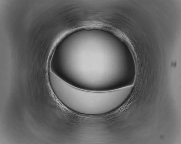 X0000096131488200801180818