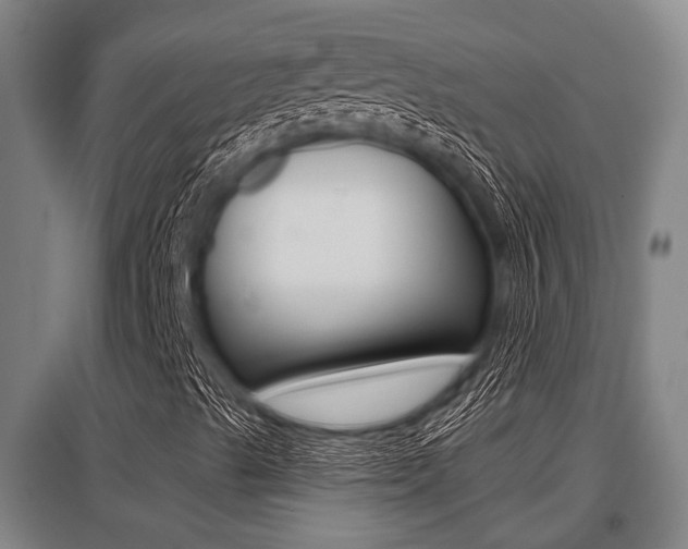 X0000096131489200801180817