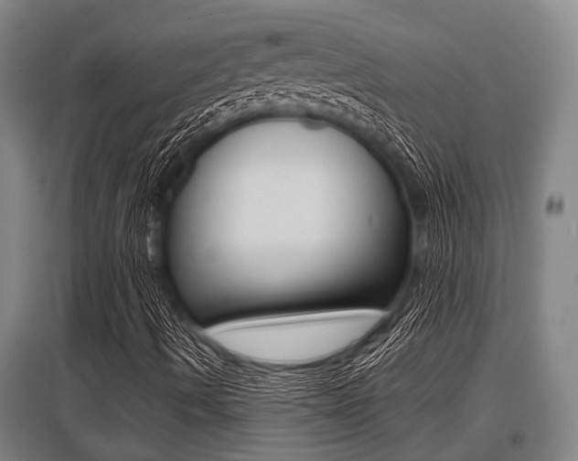 X0000096131490200801180817