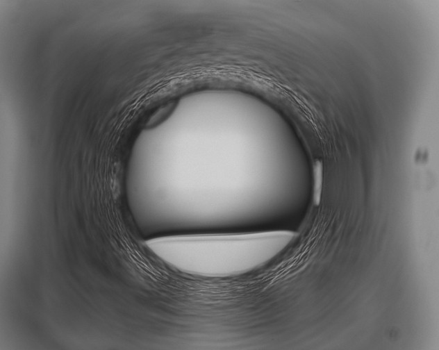 X0000096131491200801180817