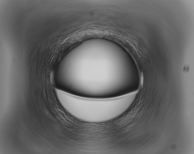 X0000096131492200801180817