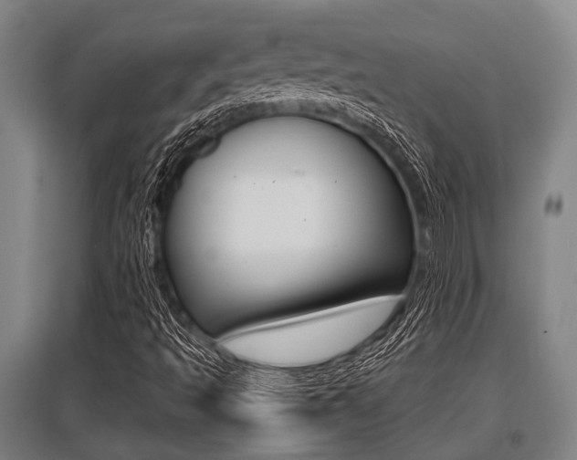 X0000096131493200801180817