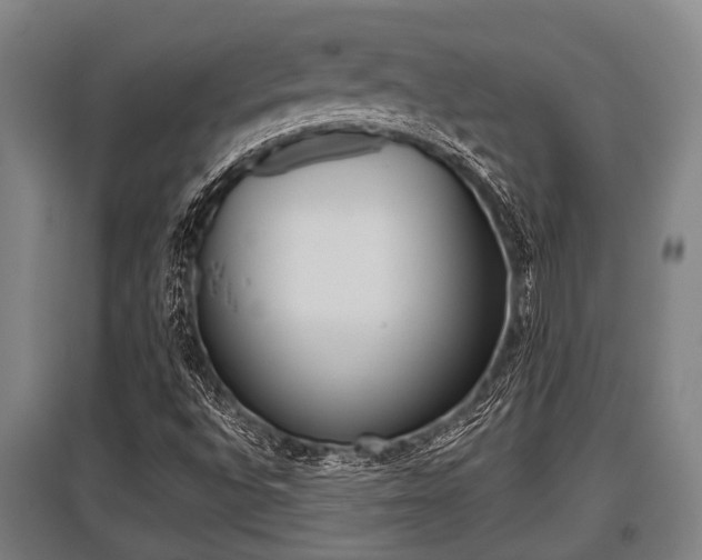 X0000096131496200801180817