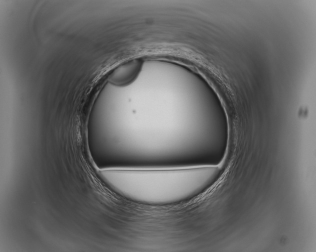 X0000096131497200801180817