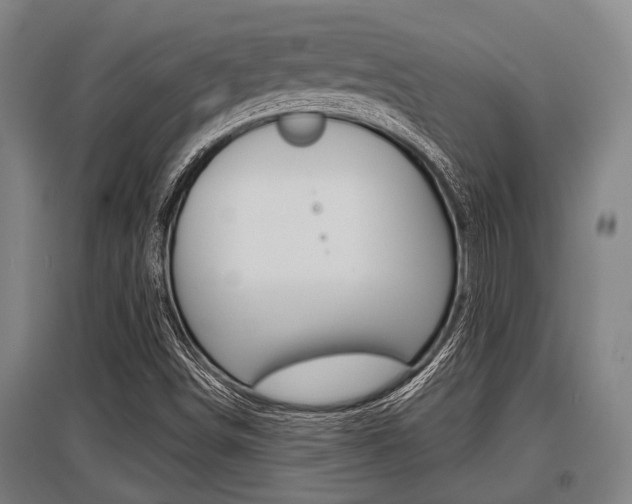 X0000096131498200801180817